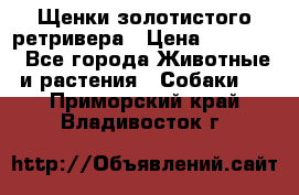 Щенки золотистого ретривера › Цена ­ 15 000 - Все города Животные и растения » Собаки   . Приморский край,Владивосток г.